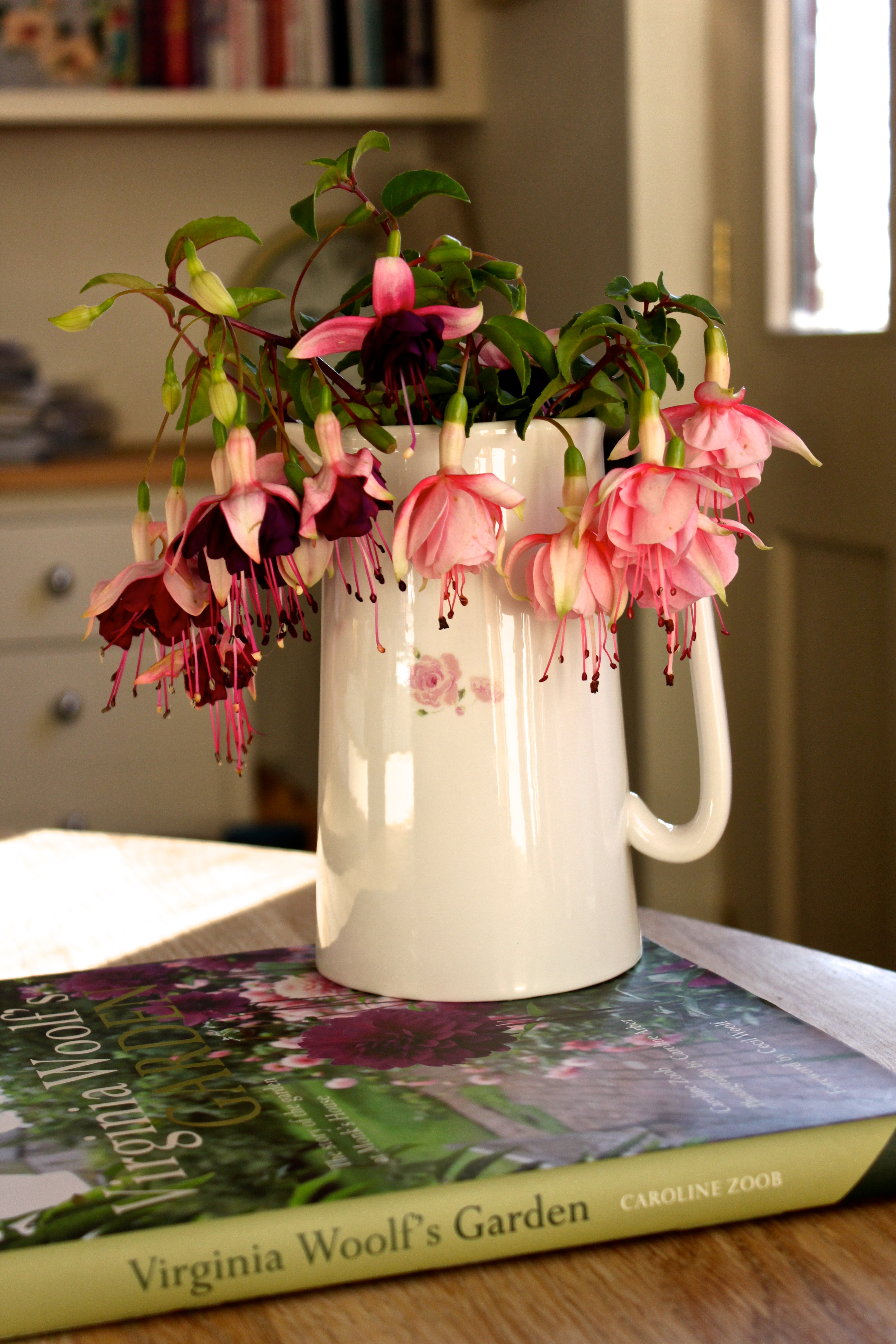 Fuchsia In A Vase