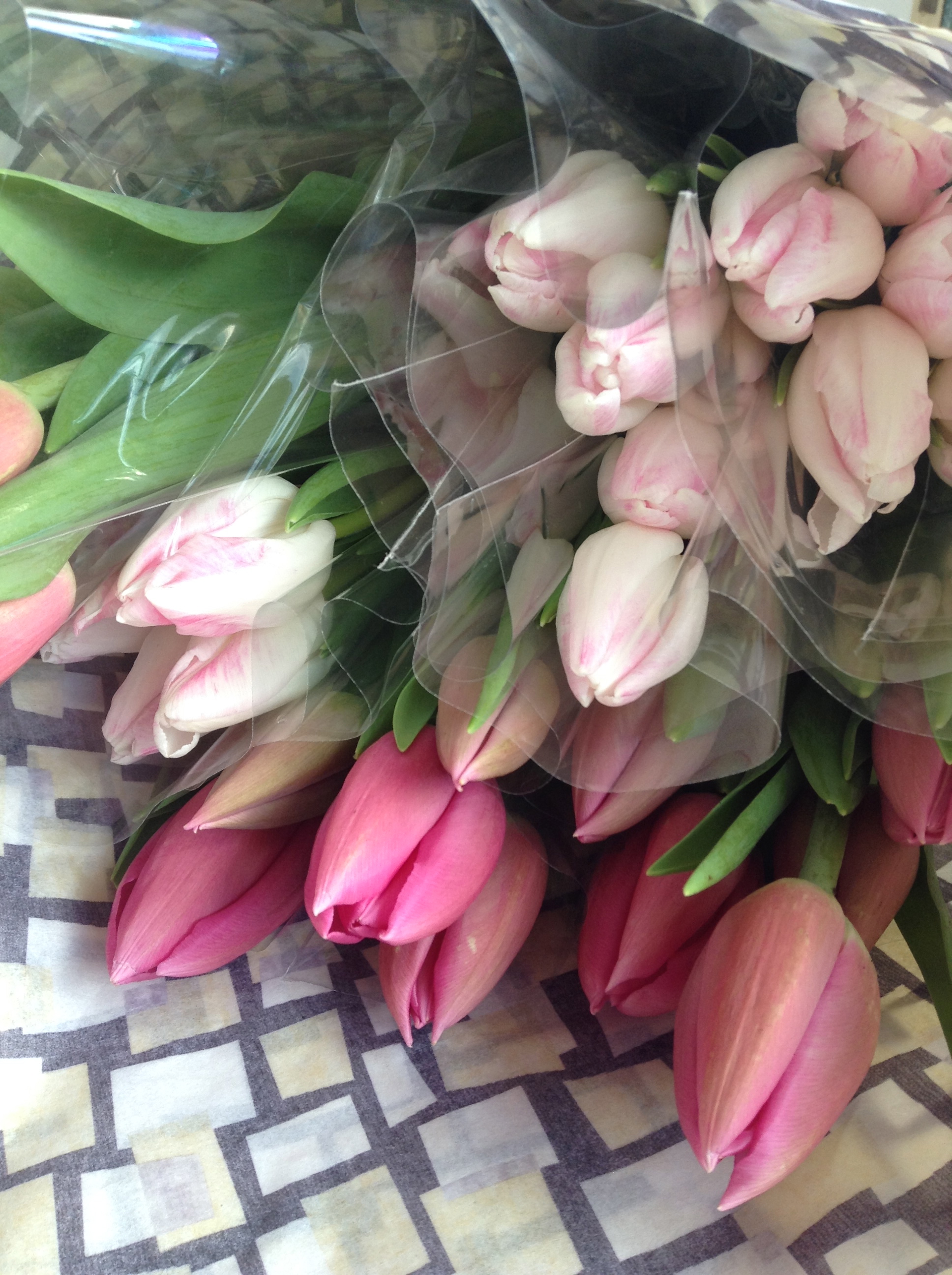 Pink-Tulips.jpg