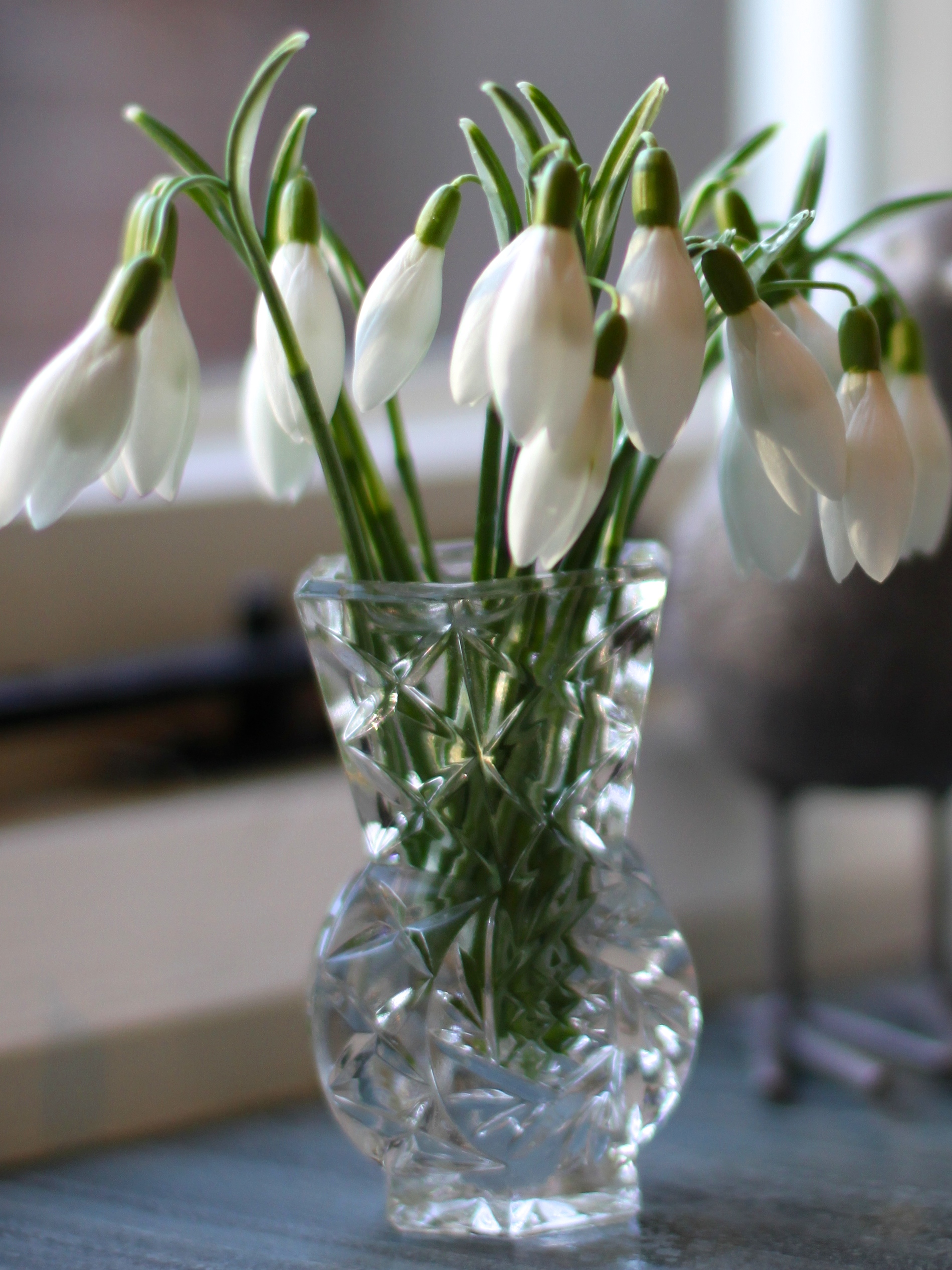 Snowdrops In A Vase