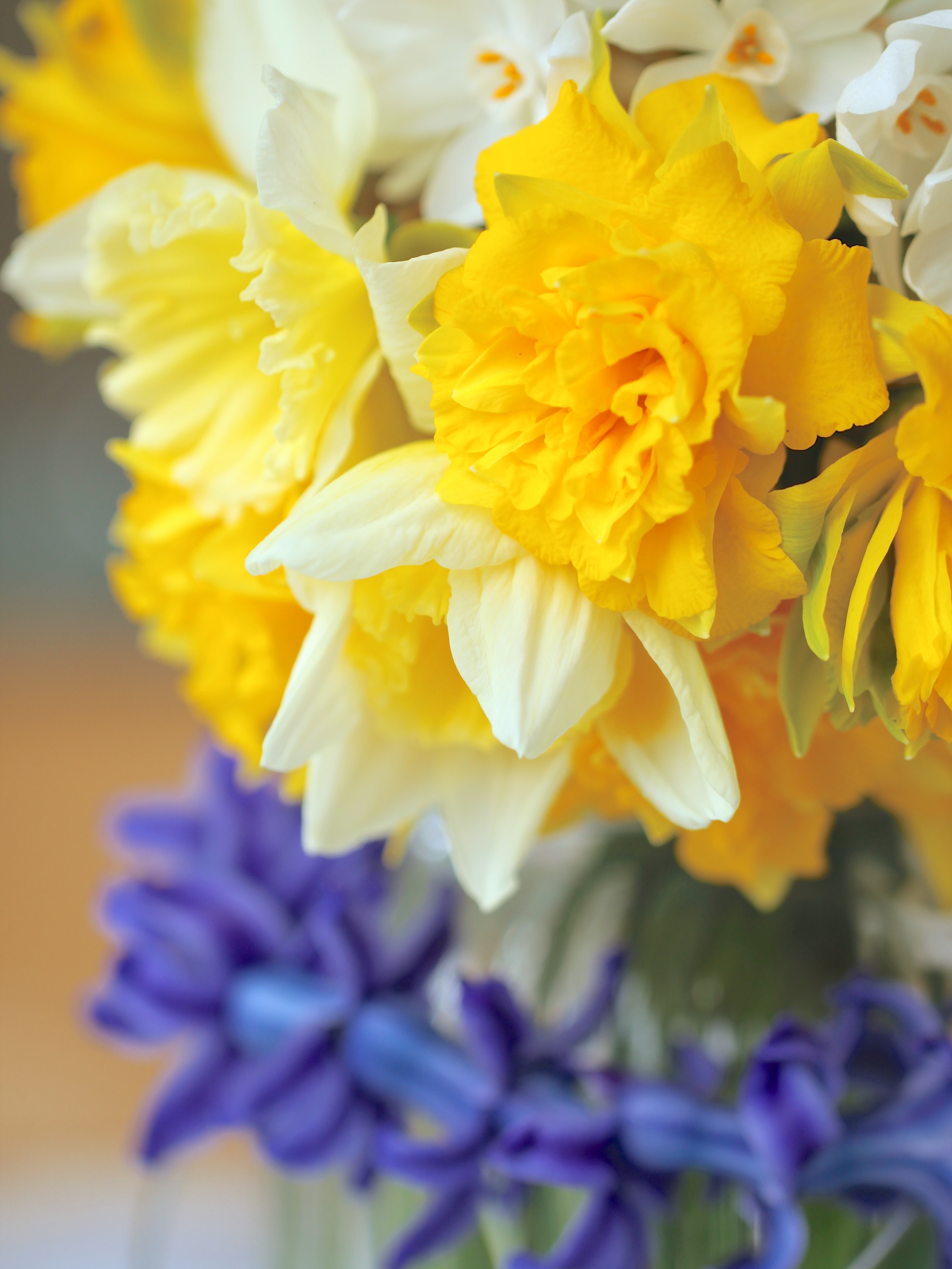 In A Vase On Monday – With Daffodils & Hyacinths – Peonies & Posies